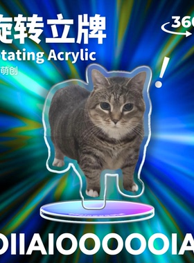 【猫meme】旋转立牌透明亚克力创意发颠表情包搞笑周边送朋友礼物