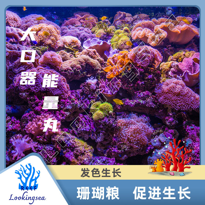 顶玩家大口器能量丸珊瑚粮lps软体珊瑚粮脑类奶嘴海葵珊瑚颗粒