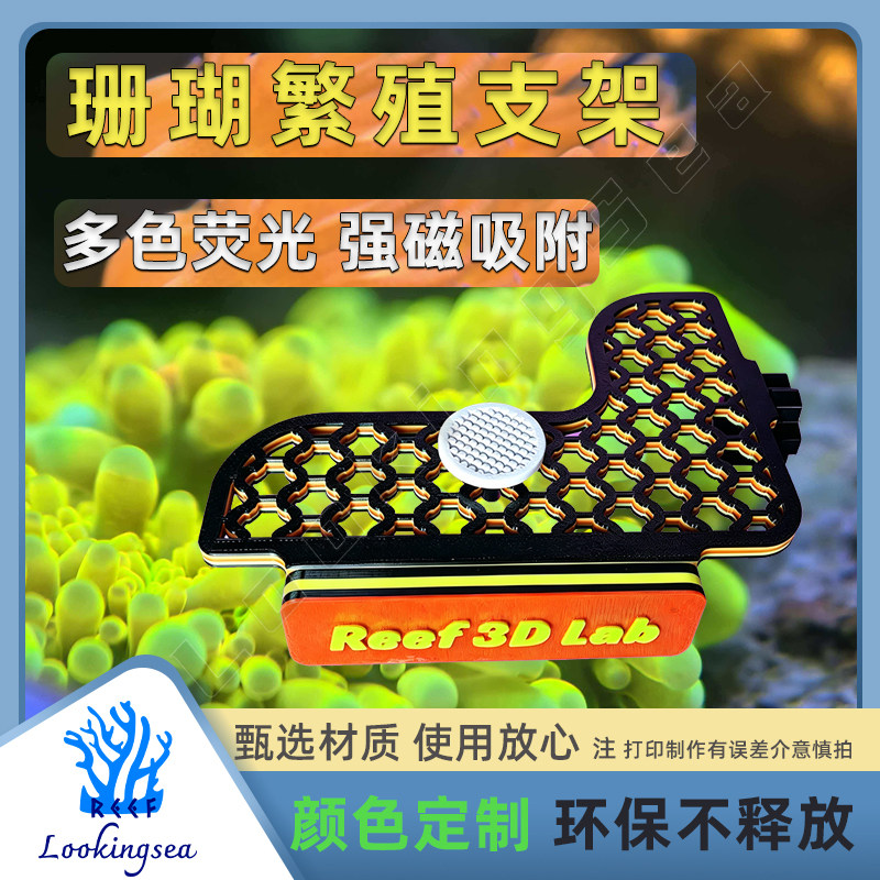 L形磁吸荧光珊瑚支架海缸发光珊瑚繁殖悬浮强磁造景底基座可插拔图片