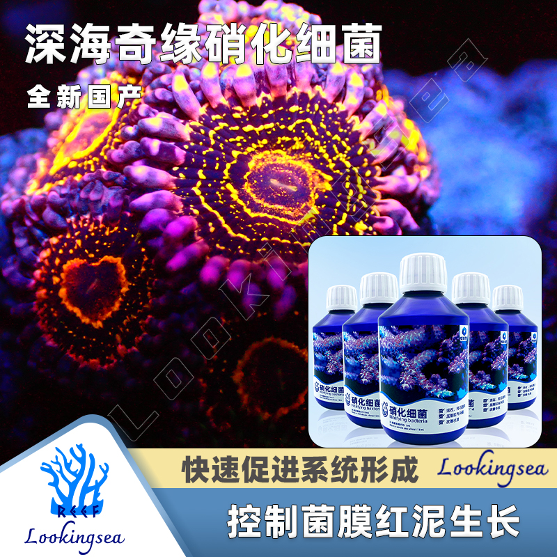 深海奇缘硝化细菌水族硝化菌培菌淡海水鱼缸用销化消化养水净水剂