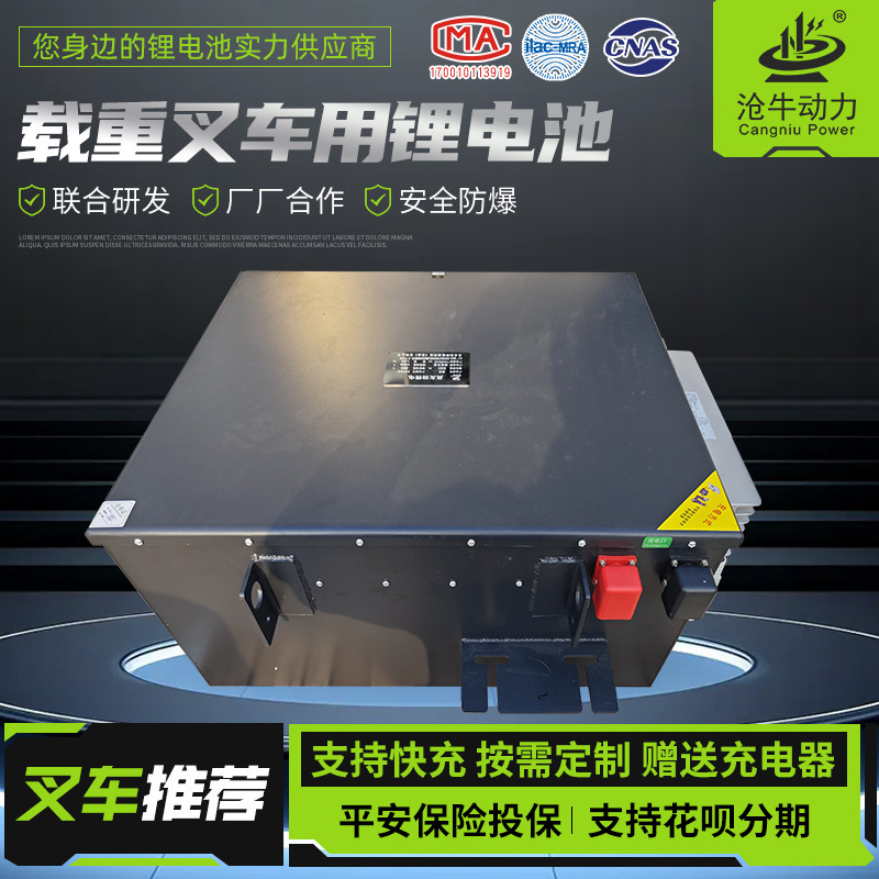 48v电动叉车房车轨道平车扫地机大容量磷酸铁锂电池组