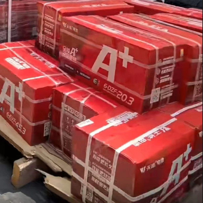 免维护蓄电池  6DZM-20 12V20AH 天能电动车电瓶6-DZF-20.2 福建