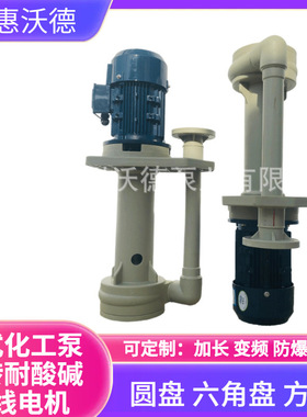3HP可空转耐酸碱化工泵TSCS-40VK-35惠沃德废水排污电镀液下循环
