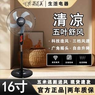 16寸落地扇电风扇风扇头节能省电落地式 菊花美新款 客厅机械家用摇