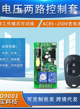 黑色鸭蛋双键遥控220V二路控制器AC85-250V宽电压LED灯具电源开关