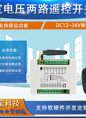 黑色鸭蛋双键遥控开关12V24V2路水泵电机道闸车库门LED灯具控制器