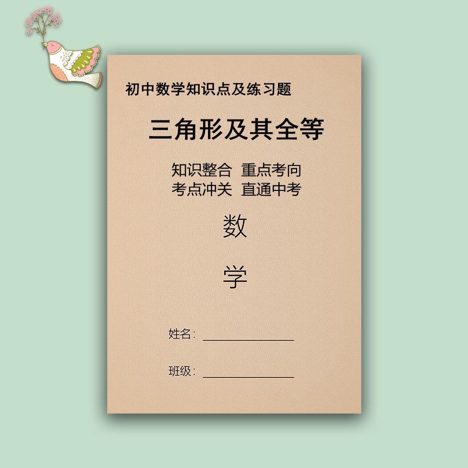 初中数学三角形及其全等三角形知识点及专项练习附详细解析练习本