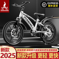 凤凰儿童自行车6到12岁小孩8-10-15岁男孩山地20寸女孩青少年变速