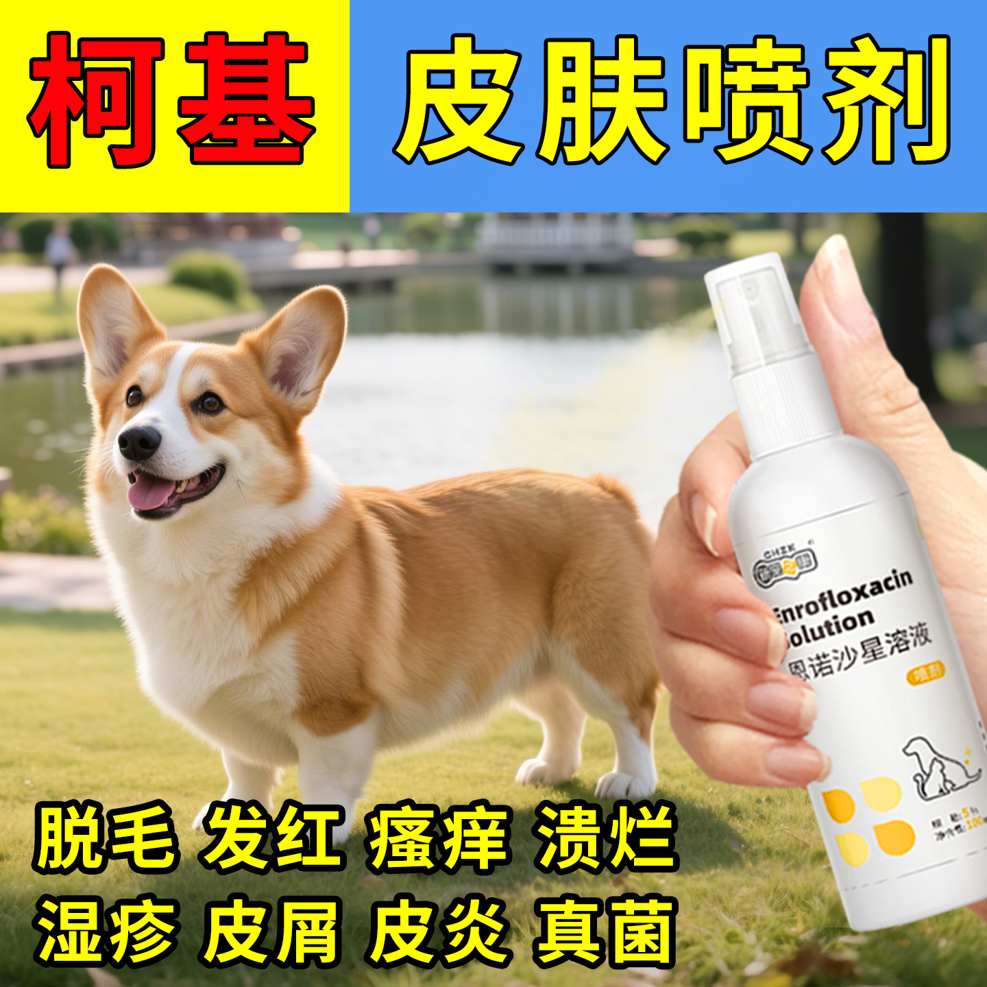 柯基狗狗皮肤病身上长藓疙瘩除螨真菌感染专用恩诺沙星皮肤溶液