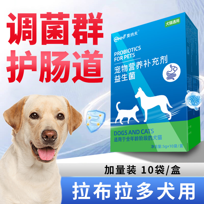 莫纳夫拉布拉多用益生菌调理肠胃