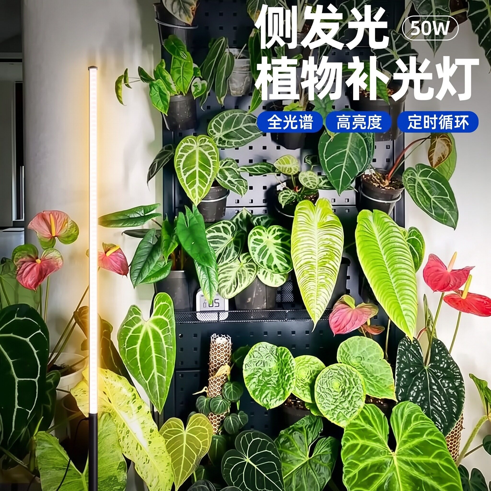 光合力量补光灯植物花烛全光谱仿太阳侧发光led室内用绿植生长灯图片