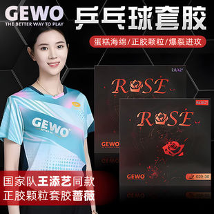1857德国GEWO杰沃蔷薇正胶玫瑰颗粒王添艺同款速度快弹性好快攻型