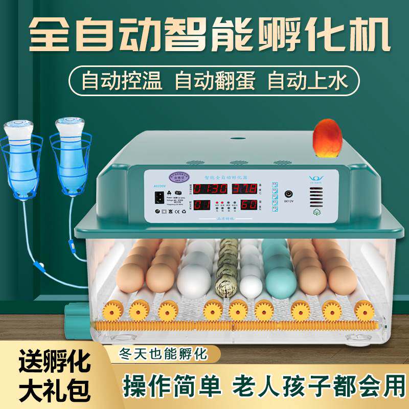 孵小鸡的机器家用孵蛋器小型家用孵化器小型家用水床孵化器鹦鹉孵高性价比高么？