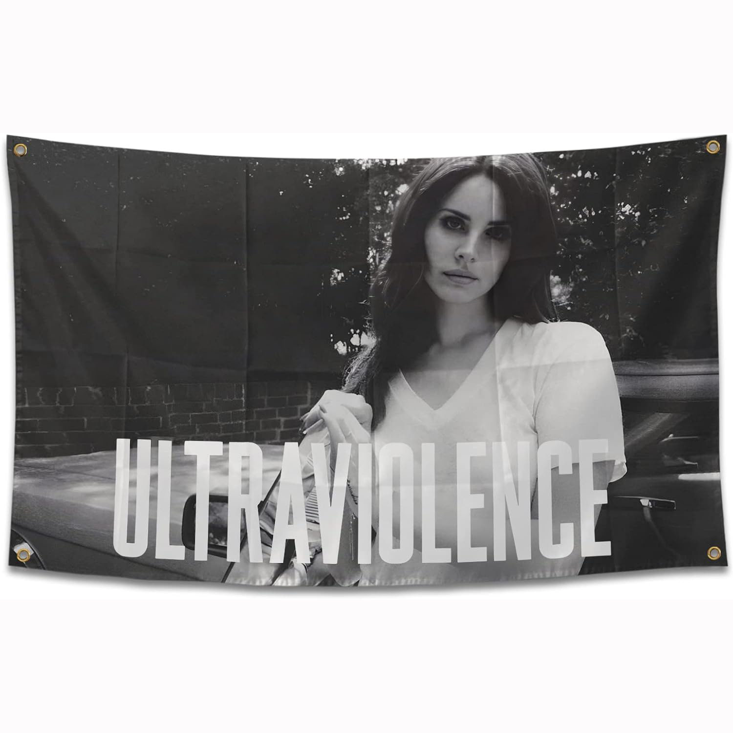 Lana del Singer Rey flag 拉娜旗帜背景装饰挂布