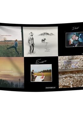 Zach Singer Bryan Flag扎克布莱恩横幅挂毯 旗帜