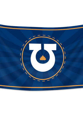 Temu Inspired Ultramarines 活动旗帜挂布90*150cm卧室装饰3x5ft