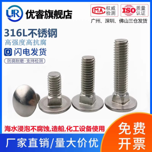 316L不锈钢大头马车螺栓圆头方颈螺丝扁头螺丝钉M6M8M10M12DIN603