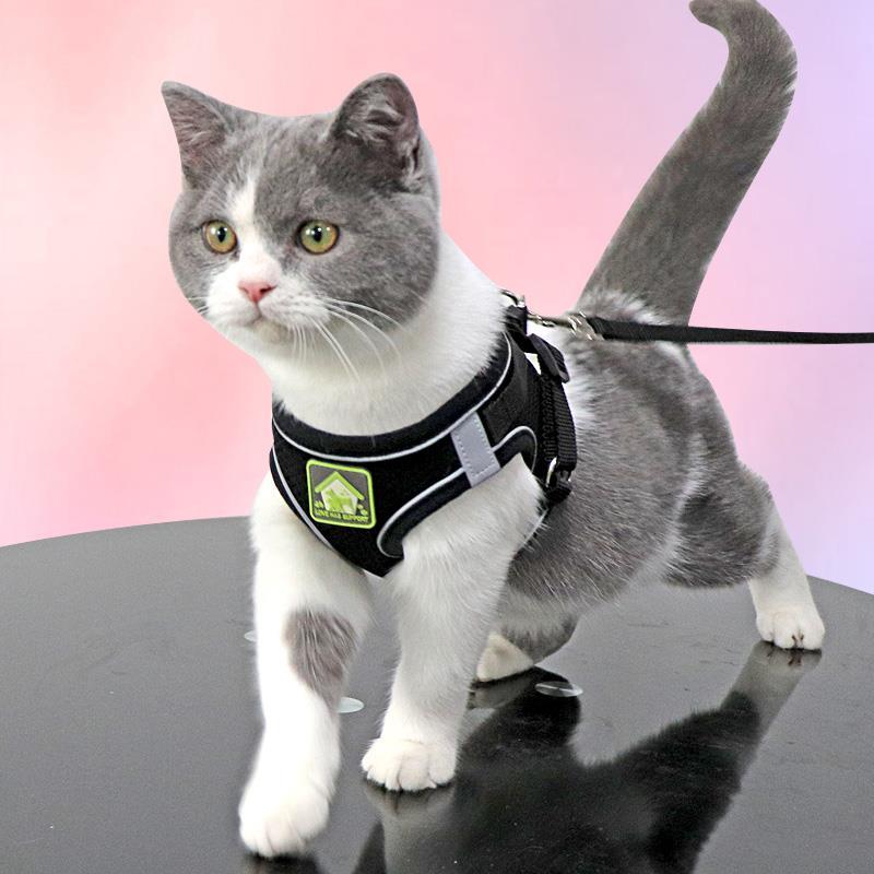 .猫咪牵引绳防挣脱背心式网红遛猫绳英短外出专用猫链子宠物胸背