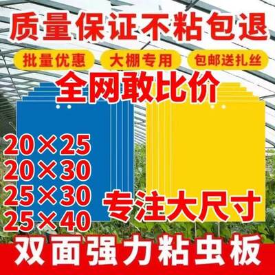 双面粘虫黄板诱虫板柑橘子树瓜果实蝇针蜂粘苍蝇贴粘虫板蓟马篮板