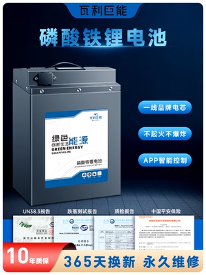 二轮电动车锂电池磷酸铁锂72V60V48V三四轮大容量大功率外卖电瓶