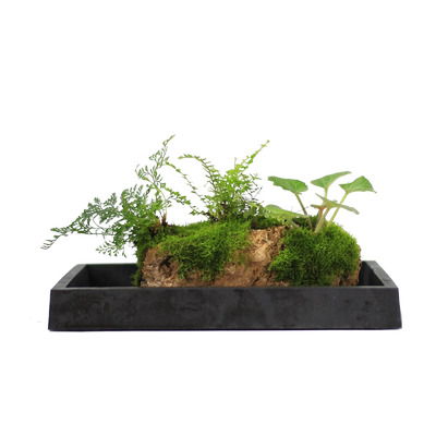 竹子附石假山懒人水培植物