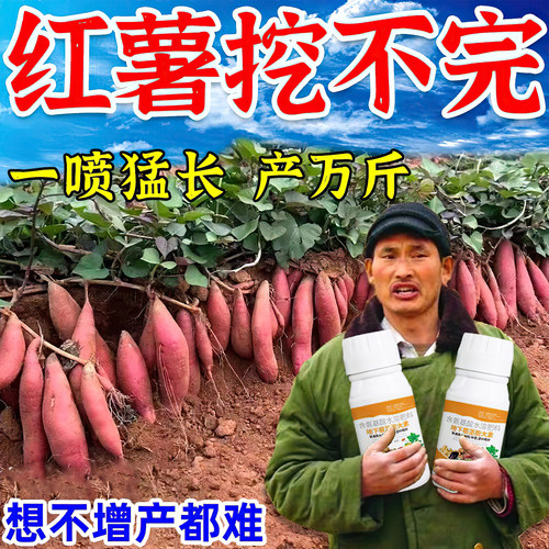 红薯控旺膨大素专用防裂果增产药
