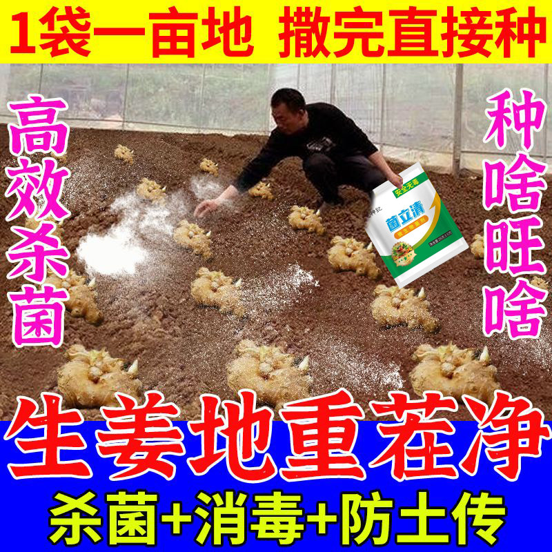 生姜专用杀菌剂土壤快速消毒生姜地抗重茬防治土传病害根腐病菌清 - 实物图