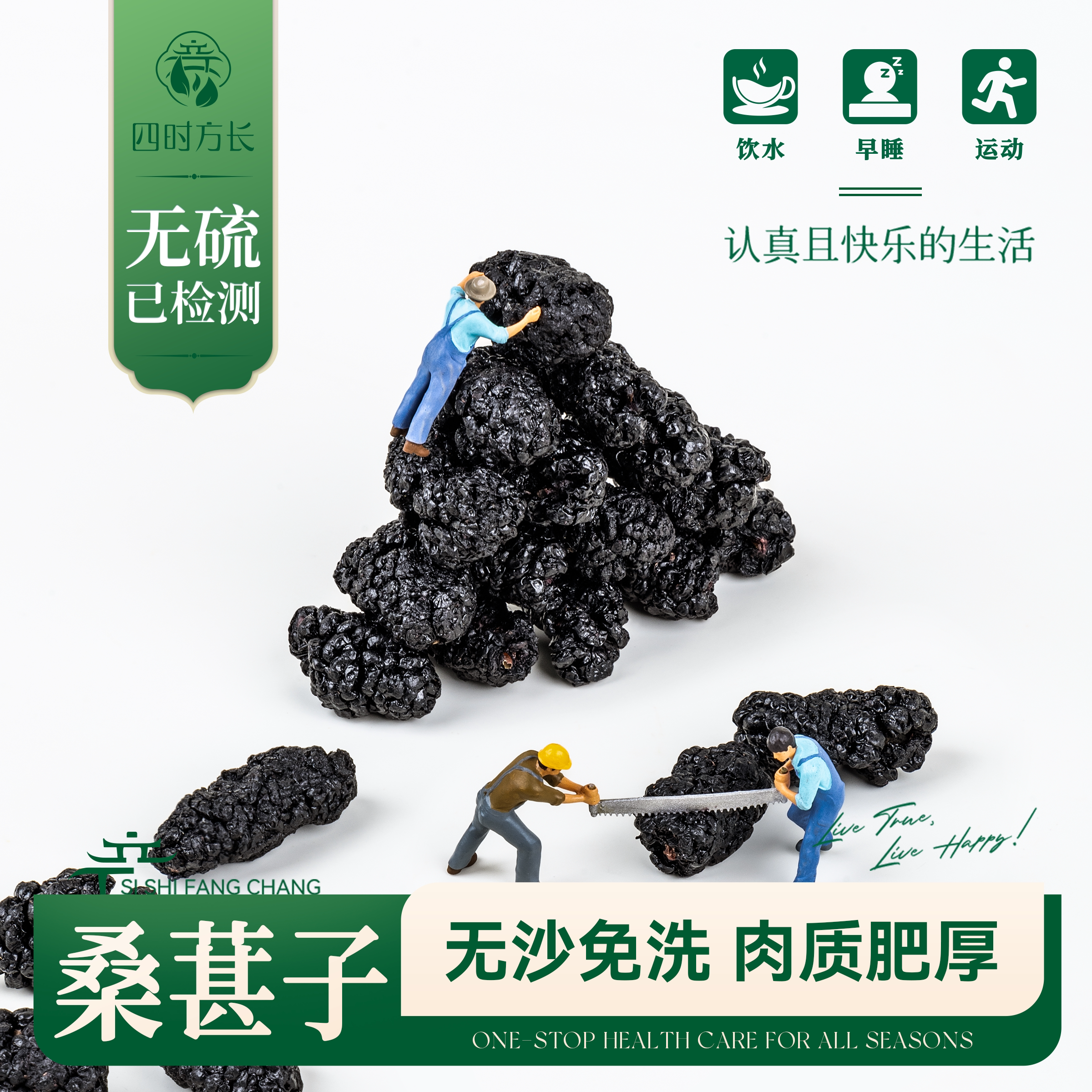 桑葚子 四时方长 攀枝花特产桑葚果干果黑桑葚无沙桑椹干50~500g