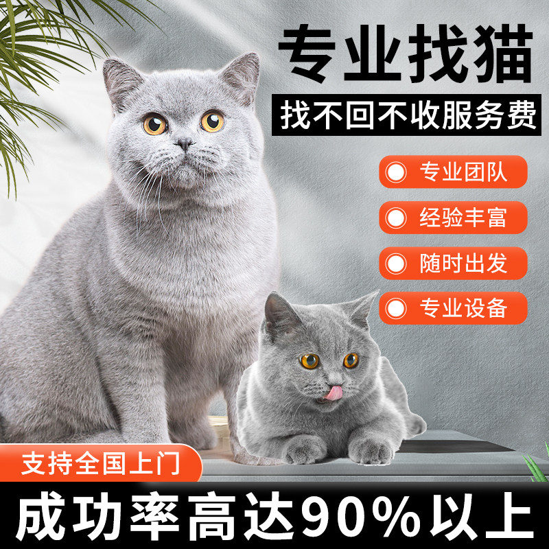 专业找猫团队寻宠团队宠物侦探寻猫团队猫救援服务猫丢了抓猫找猫