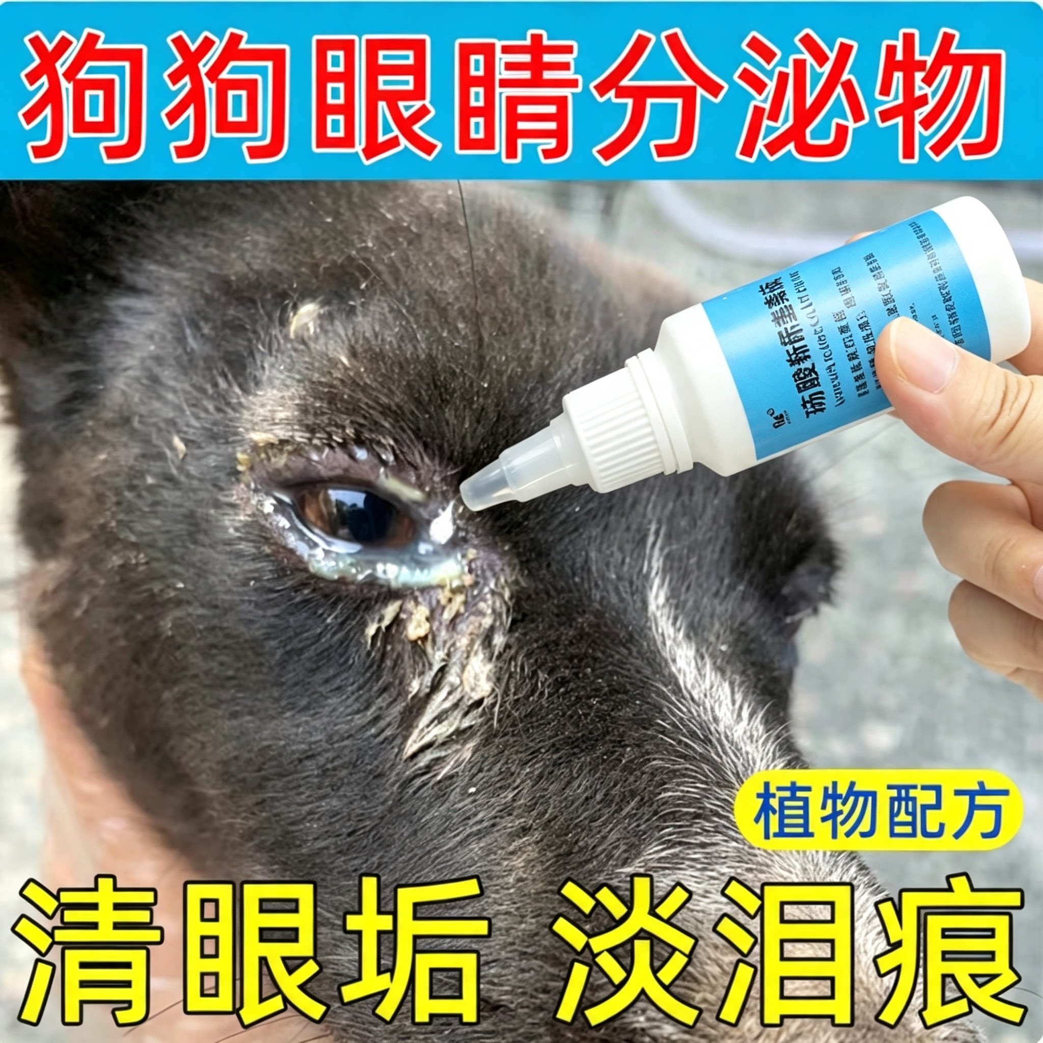宠物猫咪眼药水眼睛发炎流泪红肿流脓狗狗滴眼液比熊博美泰眼药水图片