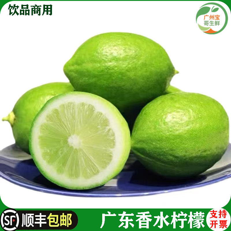 广东人气包邮香水精选一级啡奶茶店专用新鲜现摘现发无籽香柠檬