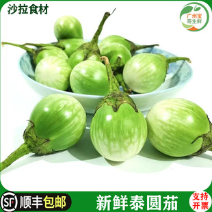 泰式品种新鲜圆茄 沙拉茄子大圆茄大茄芫茄 绿咖喱配料迷你青茄