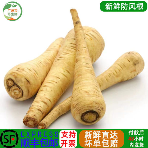 新鲜欧洲萝卜/防风根西餐烘焙