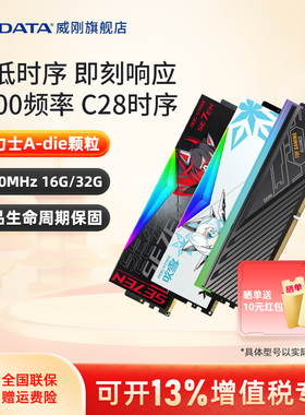 威刚XPG威龙D300/D500G DDR5 CL28台式机电脑内存16G/32G 9800X3D