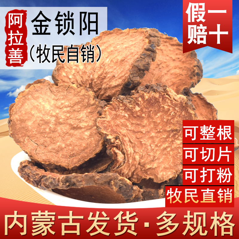 内蒙古阿拉善金锁阳鲜切片整根肉苁蓉滋补特泡酒料级泡水