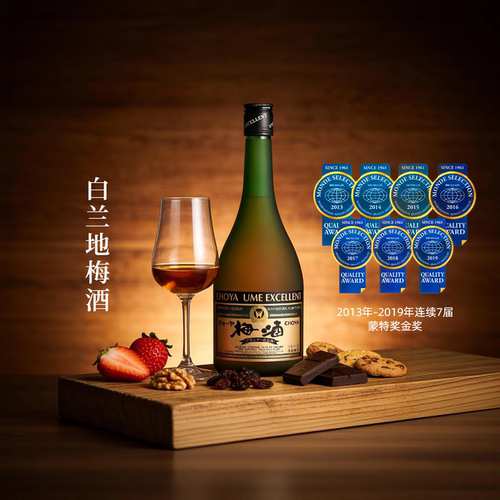 100%纪州南高梅 天然水果香 连续三年荣获金
