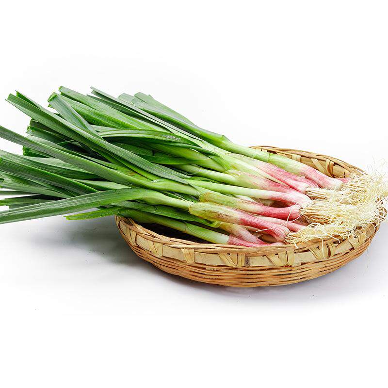 云南高山红蒜苗青蒜苗新鲜带泥大蒜苗红皮大蒜苗紫皮蒜苗