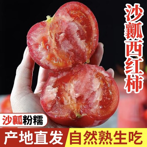 云南现摘沙瓤番茄自然熟多汁