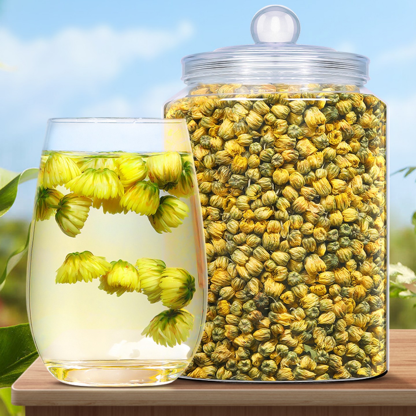 曲苑香菊花茶一桶喝一年800g