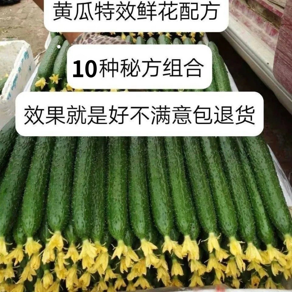 黄瓜鲜花王坐果蘸花药顺直顶花带刺鲜花营养液浸沾花药新组合秘方