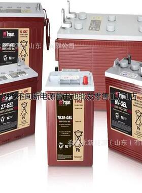 Trojan MOTIVE蓄电池T105/125/1275/145/875PLUS电池6V8V12V富液