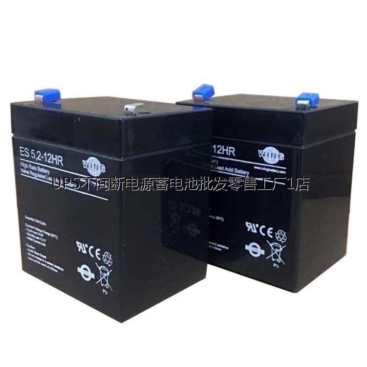 WING铅酸蓄电池BTX12-55L