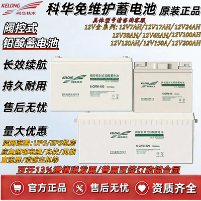科华蓄电池6-GFM-100/12V