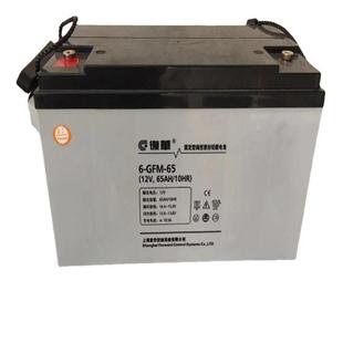 GFM POWERSON蓄电池6 65直流屏UPS电源 蓄电池12v65ah 保护神