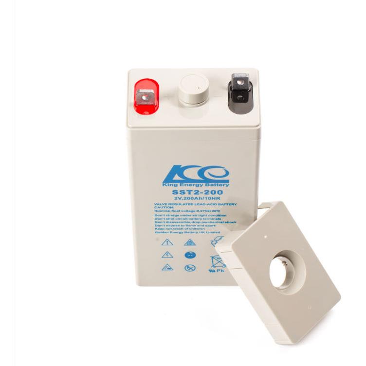 SST2-200免维护蓄电池2V200AH直流屏UPS电源配套 现货