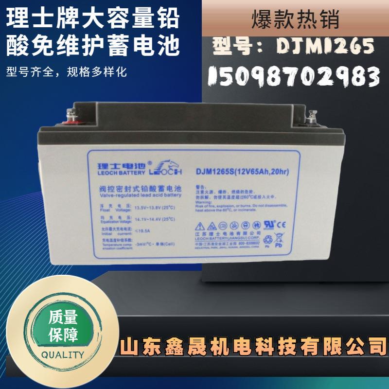 LEOCH理士蓄电池12V6H DJM1265消防 机房 配电柜 直流屏UPS电源蓄