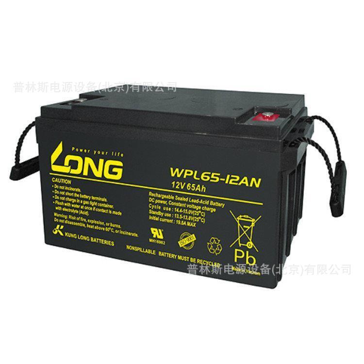 蓄电池WP38-1212V38ah铅酸蓄电池UPS电源 直流屏用蓄电池