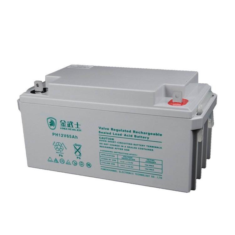 蓄电池PH65-12 12V65ah铅酸阀控免维护UPS电源蓄电池
