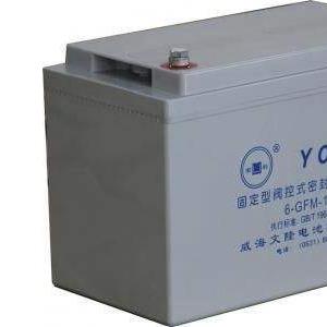 有利蓄电池6-GFM-100 12v100ah蓄电池 铅酸免维护 ups电瓶光伏
