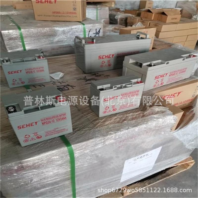 SEHEY蓄电池NP200-12铅酸电瓶12V200AH免维护12V大容量蓄电池